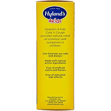 Kids Cold And Mucus Day And Night Value Pack By Hylands 4kids Natural Common Cold Symptom Relief 8 Fl Oz Packaging May Vary