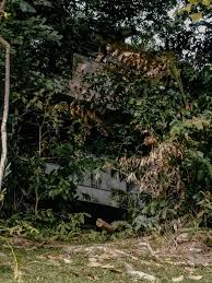 Sambung sahaja port dickson malaysia. Kisah Hotel Peninggalan British Berhantu Di Taiping Yang Ramai Tidak Tahu