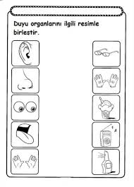Five Senses Worksheet For Kids 1 Senses Preschool Worksheets For Kids Five Senses Worksheet