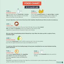 ideal food intake quantity for six months old baby