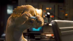 We did not find results for: 50 Free Hd Dog Wallpapers