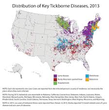 5 Ways Tick Diseases Can Knock You Out Disease Tick Bite Lyme Disease