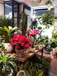 Maybe you would like to learn more about one of these? Plantshed Cafe 87th Street New York City Upper West Side Restaurant Reviews Photos Phone Number Tripadvisor