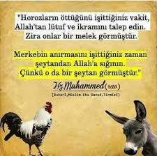 Hadis Corek Otu Yagi Com Notitle Allah Islam Good Sentences Islam