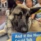 Paws to Read Program