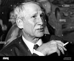 Wolf general hi-res stock photography and images