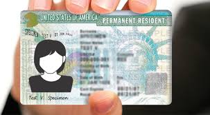 The green card category code is used to describe the immigrant visa category that was used to admit an immigrant to the u.s. Immigration Terms You Should Know Cook Attorneys