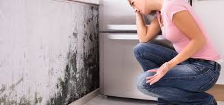 Detecter Une Infiltration D Eau Dans Un Mur Comment Faire