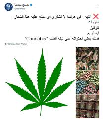 تقرير رحلتي الى امستردام مدينة الحب في هولندا مع جدول سياحي لسبعة ايام ترافيل ديف