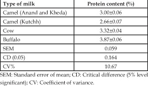 Camel milk is the closest natural substance to a human mother's milk. Protein Content Of Camel Cow And Buffalo Milk Download Table