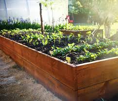 Gardening australia has a great fact sheet on soil preparation and identification, check it out here. Pope Products How To Grow And Maintain Your Veggie Garden