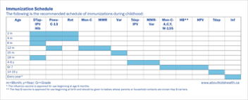 Some have favored vaccinating as many people as possible as quickly as possible, while others have tried to prioritize vaccinating specific. Immunization Schedule