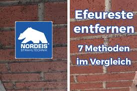 Efeu samt wurzeln entfernen mit einfachem abreißen oder abschneiden des efeus ist es nicht getan. Efeureste Von Fassade Entfernen 7 Methoden Vom Profi Erklart Nordeis Trockeneisstrahlen Hannover Hildesheim Und Hamburg
