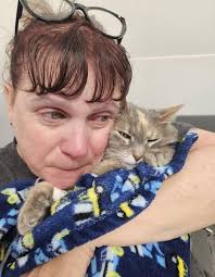 Cat passed away due to blood clots