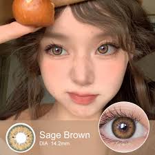 Magister Contact Lenses Brown Gray Black Natural Colored Contacts Eye  Cosmetic Brown Contact 6Months