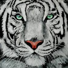 Jul 03, 2020 · add different colors to make the painting colorful. White Tiger Portrait Acrylic On Canvas Black Canvas Paintings Tiger Painting Acrylic Tiger Canvas Painting