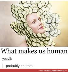 Only Real Humans Have Cucumber Flowers Around Their Face Funsubstance Funny Pictures Tumblr Funny Funny Memes
