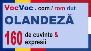 We did not find results for: 160 Expresii In OlandezÄƒ Pentru IncepÄƒtori Youtube