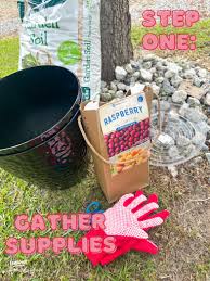 Plant a Raspberry Bush with me 🌱