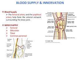 Pin On Knee Pain