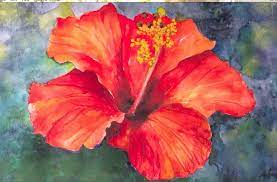 How To Paint A Hibiscus Flower In Watercolor Watercolor Flowers Paintings Simple Oil Painting Watercolor Paintings