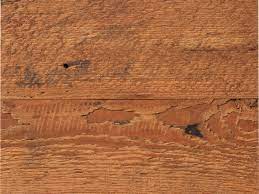Bingham lumber, inc.'s bingham family has taken great pride in creating custom wide plank floors over the last 60+ years, in doing so we have sourced some of the finest timber 115 fawcett street cambridge, ma 02138 1.866.old.floor. Reclaimed Wood What It Is Why And Where To Buy It This Old House