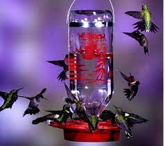 Check spelling or type a new query. Glass Bottle Hummingbird Feeder