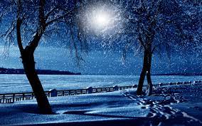 Check spelling or type a new query. Snowy Winter Night Hd Wallpaper Background Image 2560x1600