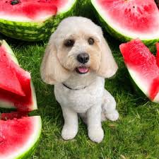 It's definitely starting to be autumnal 🍁🍂