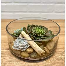 Succulents In Low Glass Vase The