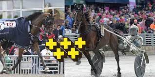 Det är då själva elitloppet ska avgöras och vi får se vilken häst som är bäst när propulsion kom med i elitloppet efter mycket om och men. Superguiden Sa Bra Ar Alla 16 Hastarna I Elitloppet 2020 Aftonbladet