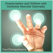 Proprioception And Children With Duchenne Muscular Dystrophy Duchenne Muscular Dystrophy Muscular Dystrophies Duchenne Muscular Dystrophy Awareness