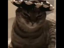 Check spelling or type a new query. You Make Me Un Poco Loco Meme Youtube