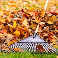 Our great tree removal & trimming in Kansas City, MO!