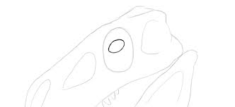 Sketchbook Original How To Draw Dragons Monika Zagrobelna For information about all architectural press publications visit our graciously sent their sketches for inclusion in t. to draw dragons monika zagrobelna