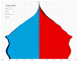 Census 2021 has gone brilliantly so far, the ons' director of operations pete benton said. Demographics Of Turkey Wikipedia