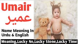 Umair Name Meaning In Urdu Umair Name Ki Matlib Kyi Hoti Hai Name Urdu By Adeel Youtube
