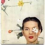 Indice de novela romantica y erótica