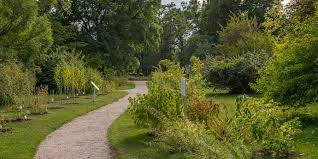 Botanischer Garten Wien Exotische Pflanzen Im Grunen Juwel Wiens