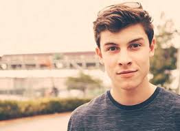 Does sun in damage hair; Hat Shawn Mendes Eine Freundin Starzip