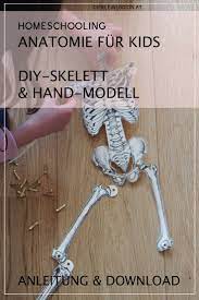 anatomie fur kinder wir basteln ein skelett und eine bewegliche hand die kleine botin korper vorschule skelett erzieherausbildung