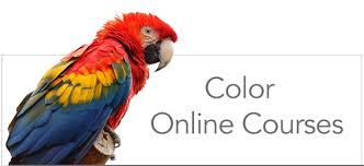 Where To Study Color
