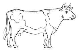 Maybe you would like to learn more about one of these? Kuh Ausmalbild Ausmalbilder Fur Kinder Cow Sketch Cow Drawing Realistic Drawings