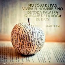 Imagenes de la palabra de dios. La Palabra De Dios Se Debe Anunciar Con Franqueza Con Coraje Periodista Digital