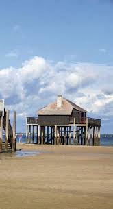 L Ile Aux Oiseaux Prenez Vous Pour Robinson Arcachon Bassin D Arcachon Tourisme Landes
