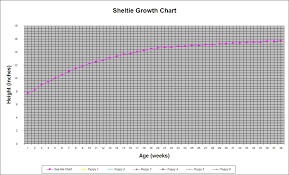 Size Chart Page