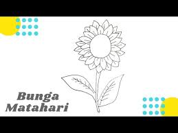 Bunga ini berwarna kuning terang dan selalu menghadap matahari, sehingga kemudian dinamai bunga matahari atau sunflower. Cara Menggambar Bunga Matahari Mudah How To Draw Sunflowers Easily Youtube