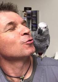 About Our Veterinary Hospital