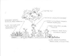The 7 layers of forest gardening are: Mastiffs Marigolds Tree Guild Plum Tree Guild Fruit Tree Guild