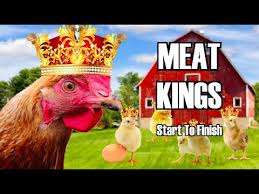 Raising Meat Chickens Start To Finish Youtube